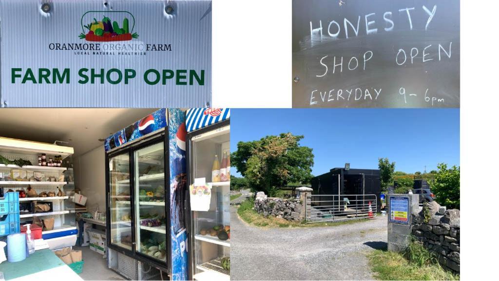 The Cosy Studio By The Shore Galway Exterior photo